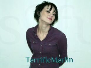 TerrificMerlin