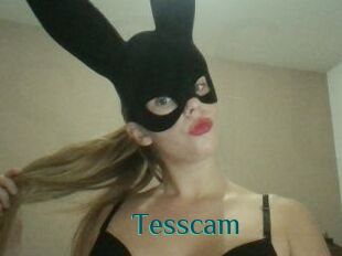 Tesscam