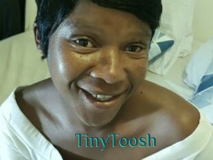 TinyToosh