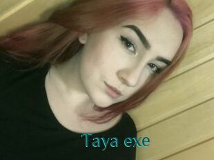 Taya_exe