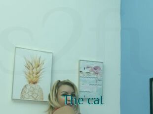 The_cat