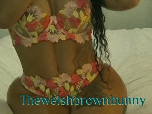 Thewelshbrownbunny