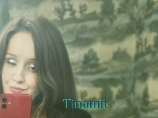 Tinamit