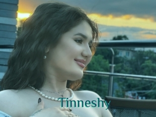 Tinneshy