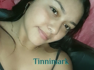 Tinnimark