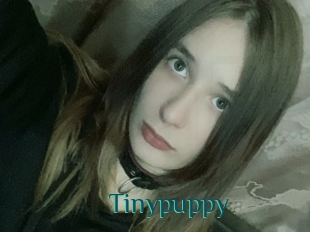 Tinypuppy
