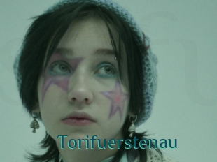 Torifuerstenau