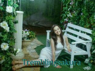 Tremblingsakura