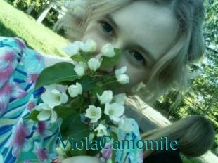 ViolaCamomile