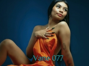 Vane_077