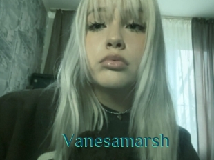 Vanesamarsh