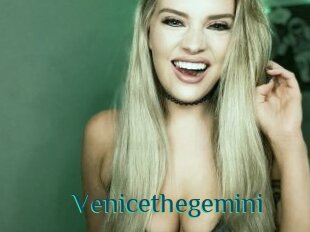 Venicethegemini