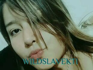 WILDSLAVEKTI