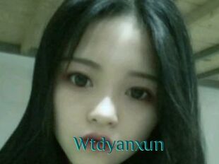 Wtdyanxun